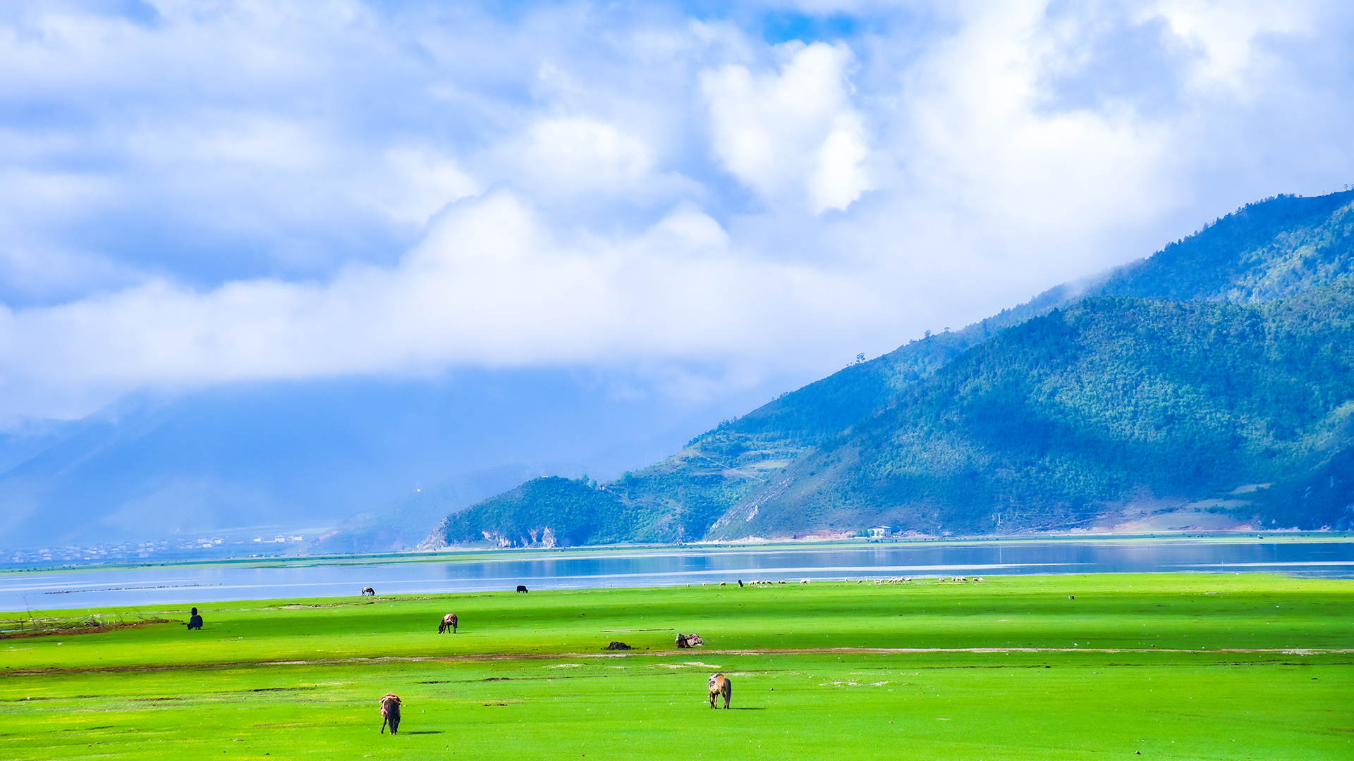 沈陽(yáng)衡天然生物科技有限公司